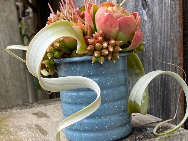 Alternative Floral Arrangements from the Landscape