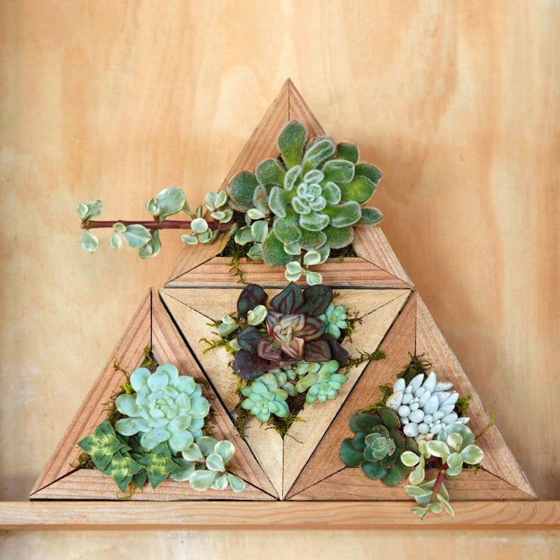 Planters