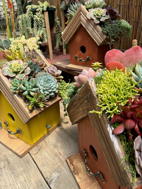 5/3 Succulent Birdhouse Workshop