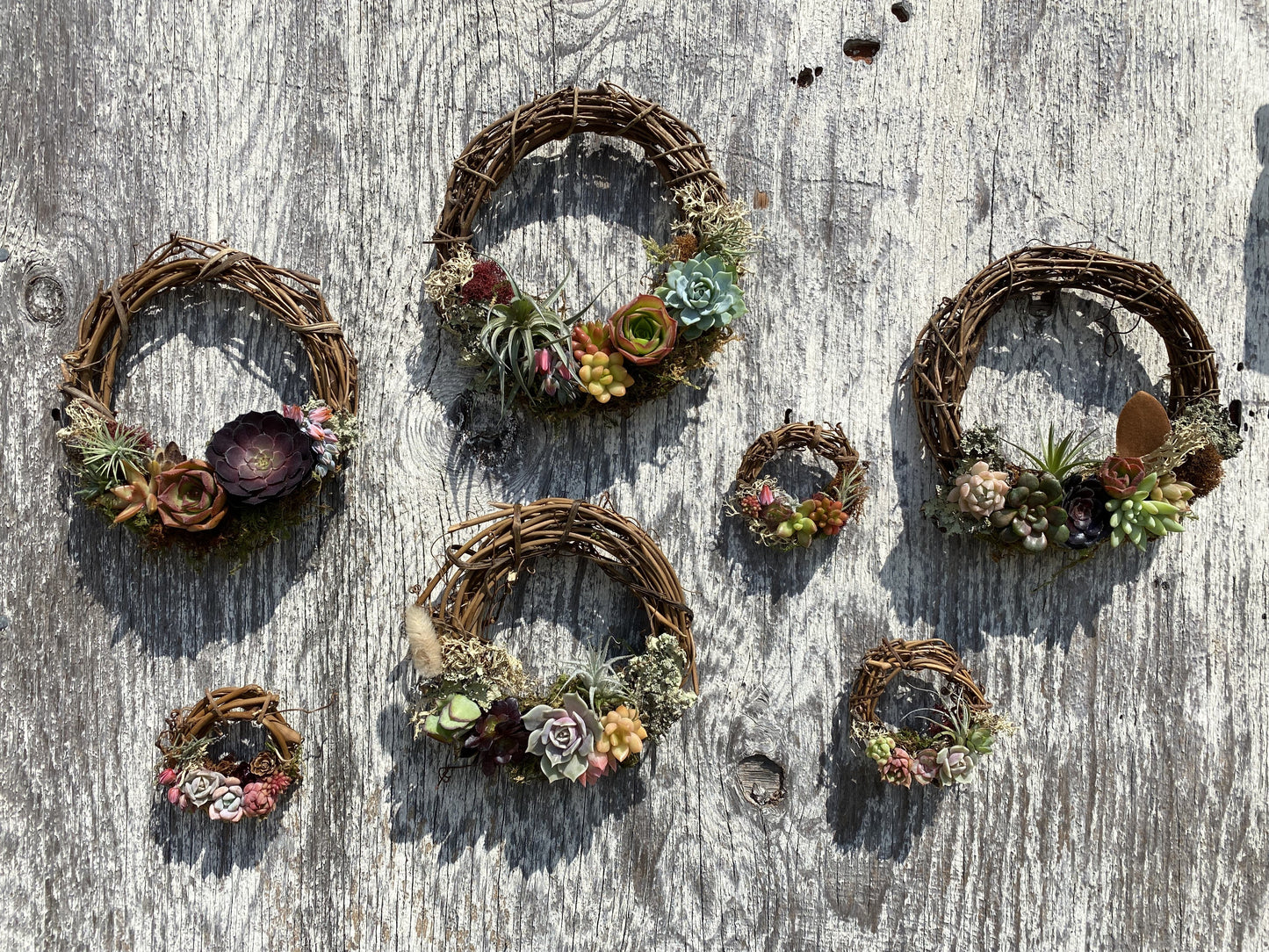 Fall Grapevine Wreath - Wholesale