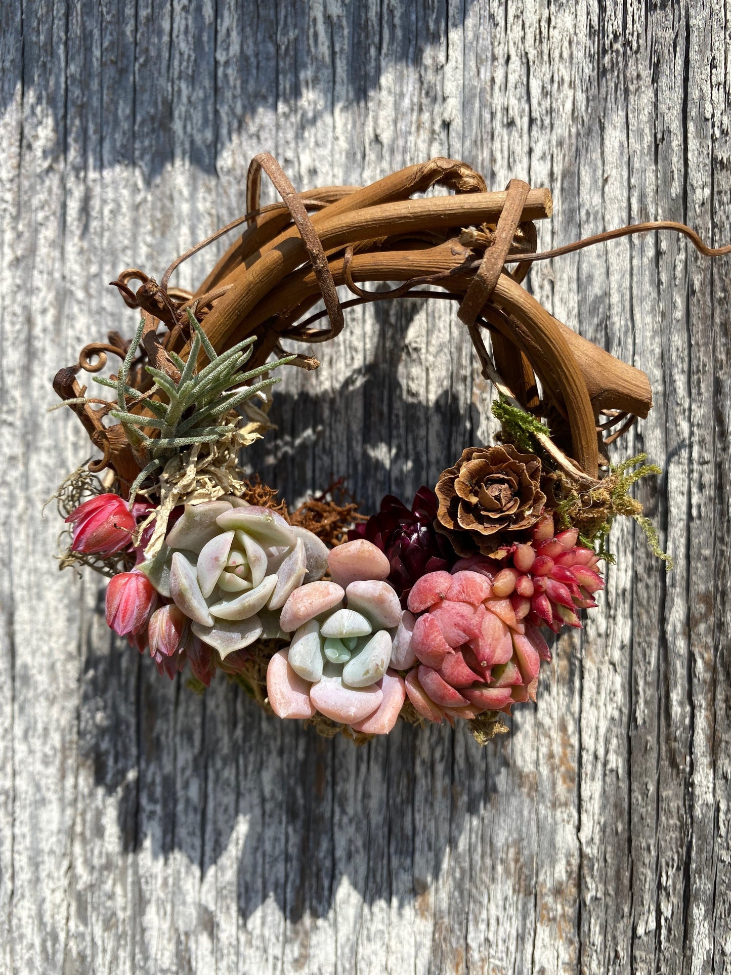 Fall Grapevine Wreath - Wholesale