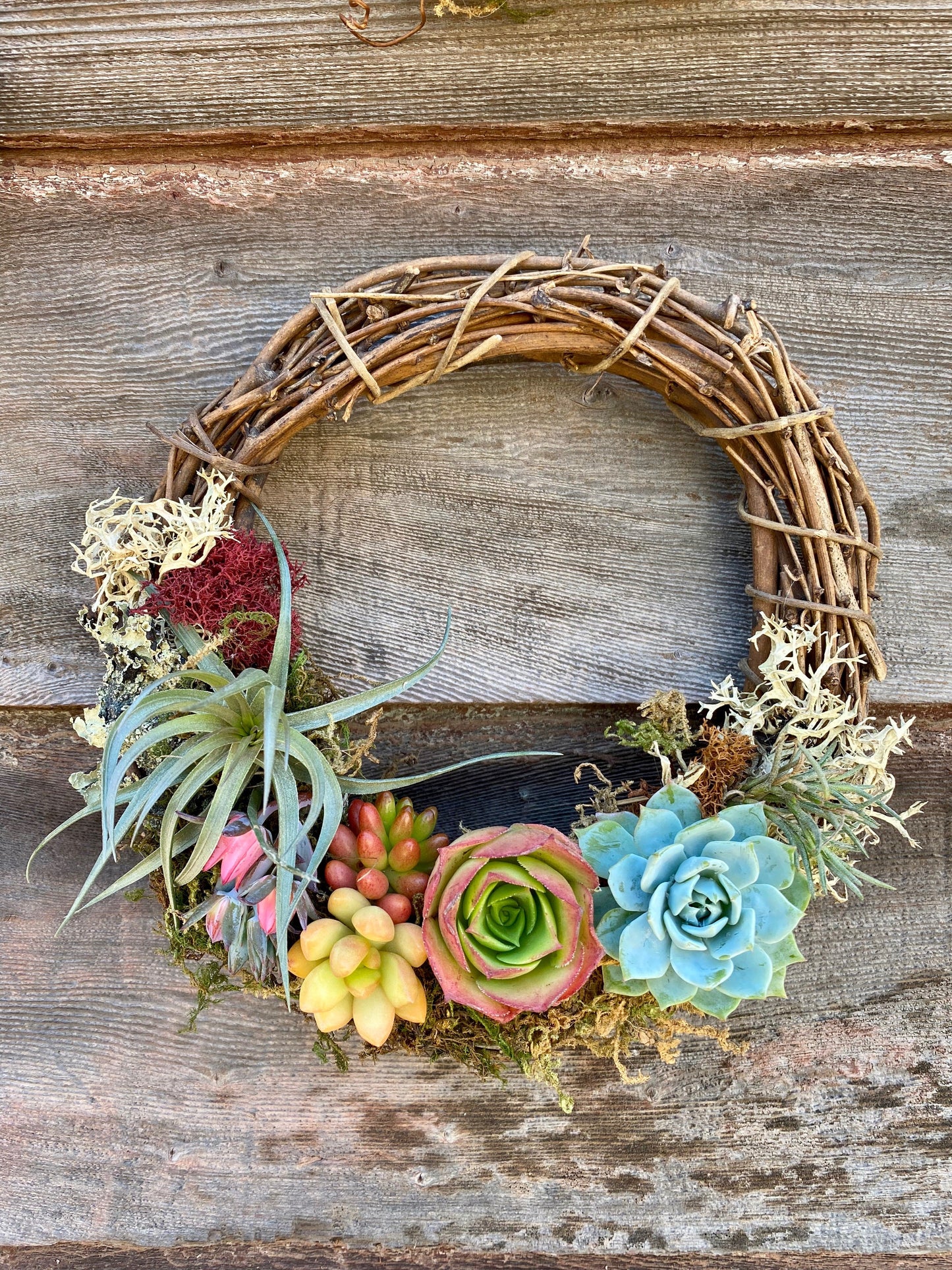 Fall Grapevine Wreath - Wholesale