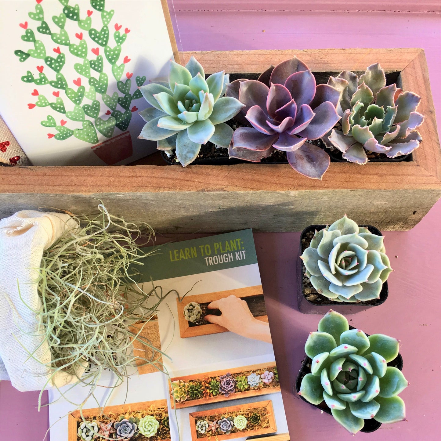 Succulent Trough Kit | Make Your Own Succulent Centerpiece