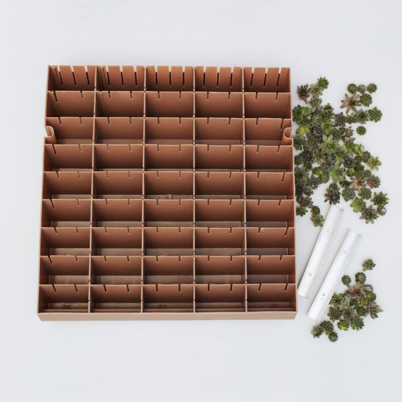 succulent wall planter kit Modular Succulent Living Wall Panel Kit - Succulent DIY Project