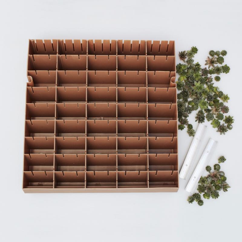 Succulent Wall Kit | $215.00 | Succulent Gardens