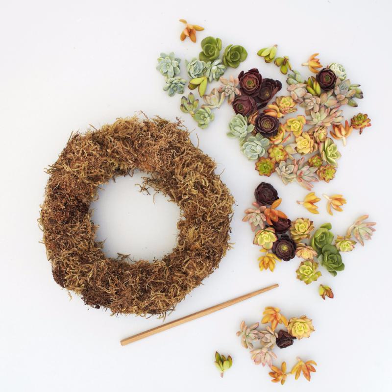 Succulent Wreath Kit - DIY Succulent Wreath | $109.00 | Succulent Gardens