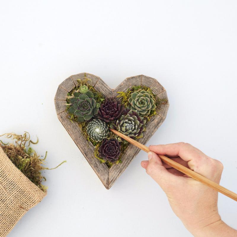 Planted Small Redwood Heart Planter