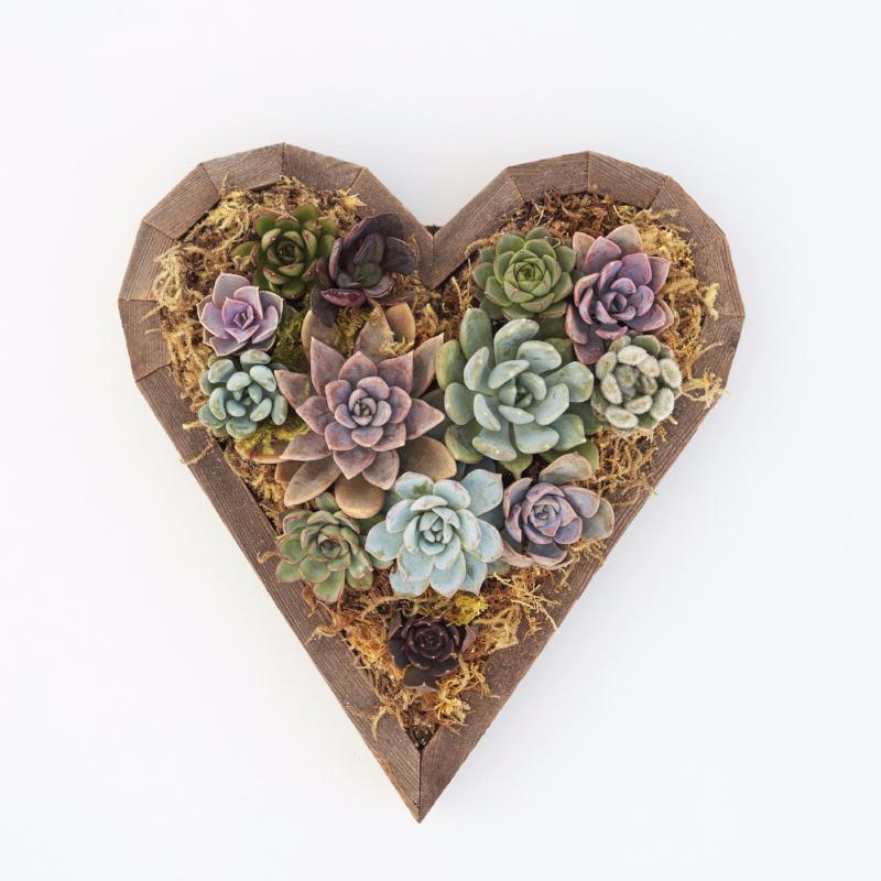 Succulent Heart Planter | Succulent Gift | Succulent Gardens