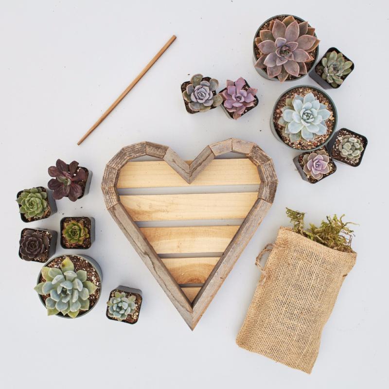 Succulent Heart Planter Kit | Succulent Gardens