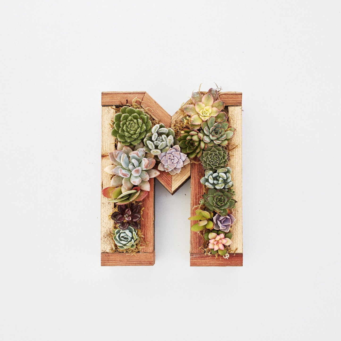 Redwood Small Letter Planter