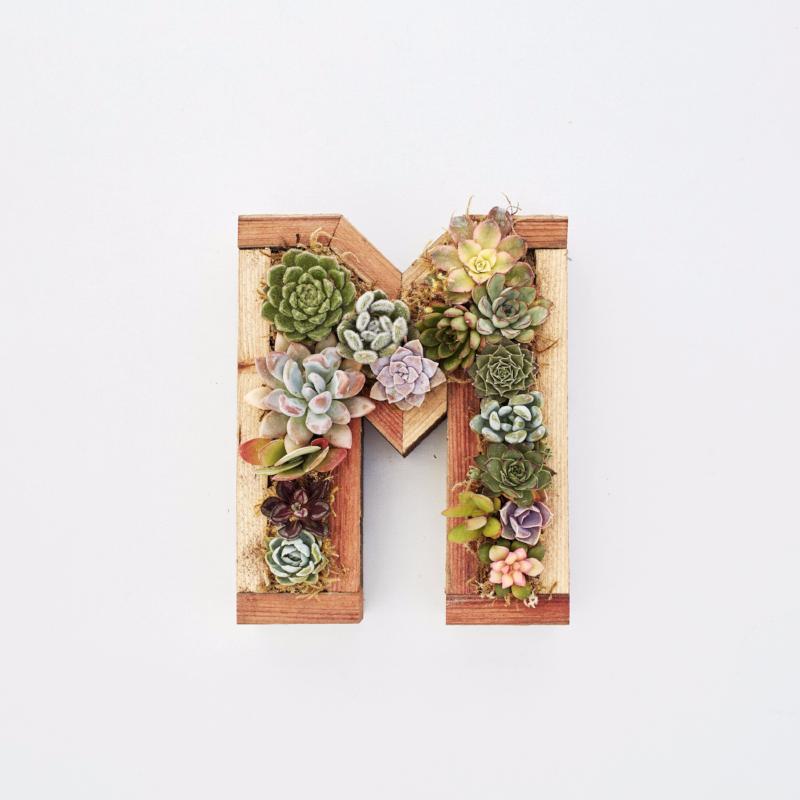 Succulent Letters | Vertical Gardens | Succulent Gardens