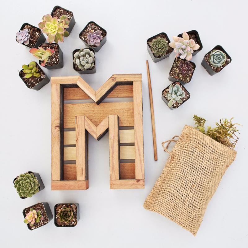 letter succulent planter Succulent Letter Planter with Succulents