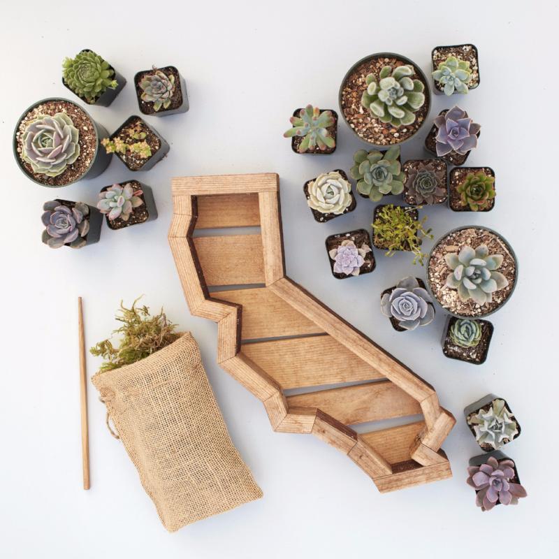 Califorina Succulent Planter Kit | $154.00 | Succulent Gardens