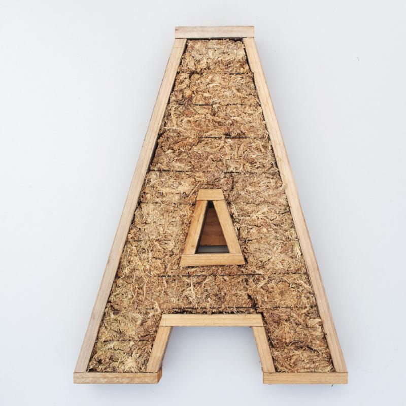 wooden letter succulent planter Succulent Letter | DIY Succulent Gift | $99.00