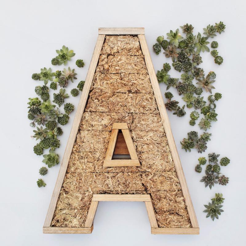 diy succulent letter Redwood Large Succulent Letter Kit | DIY Succulent Gift