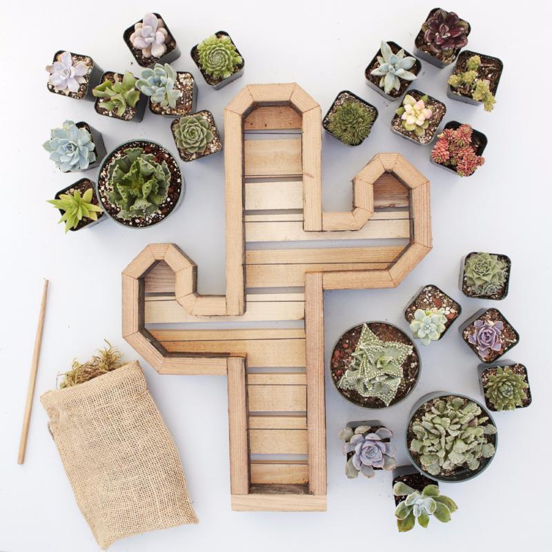 Succulent DIY Planter Kit - Vertical Succulent Planter - Succulent Gift