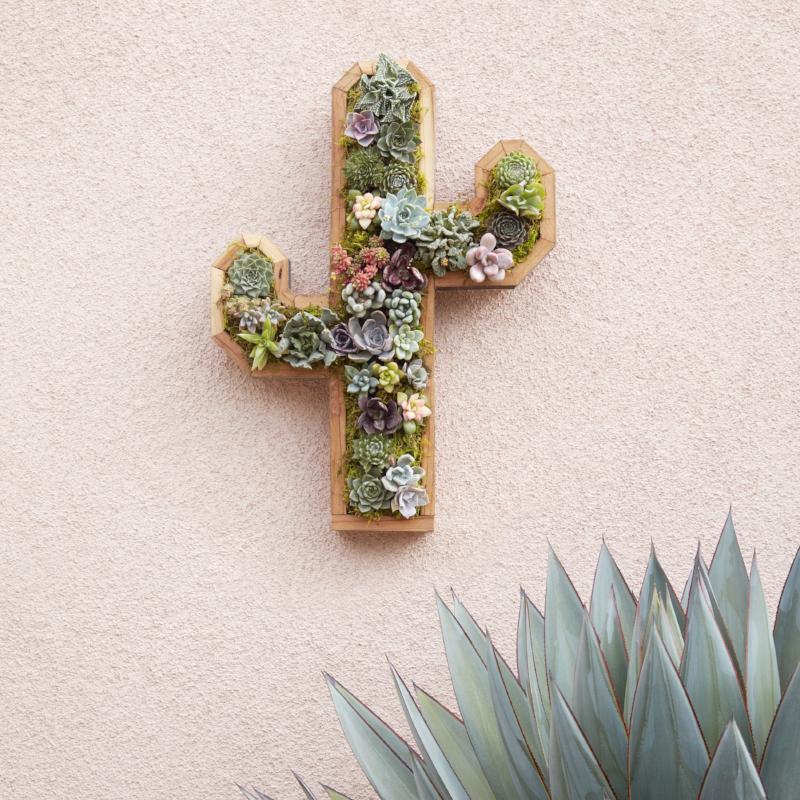 Succulent Wall Planter - Redwood Cactus Planter - Vertical Succulent Planter