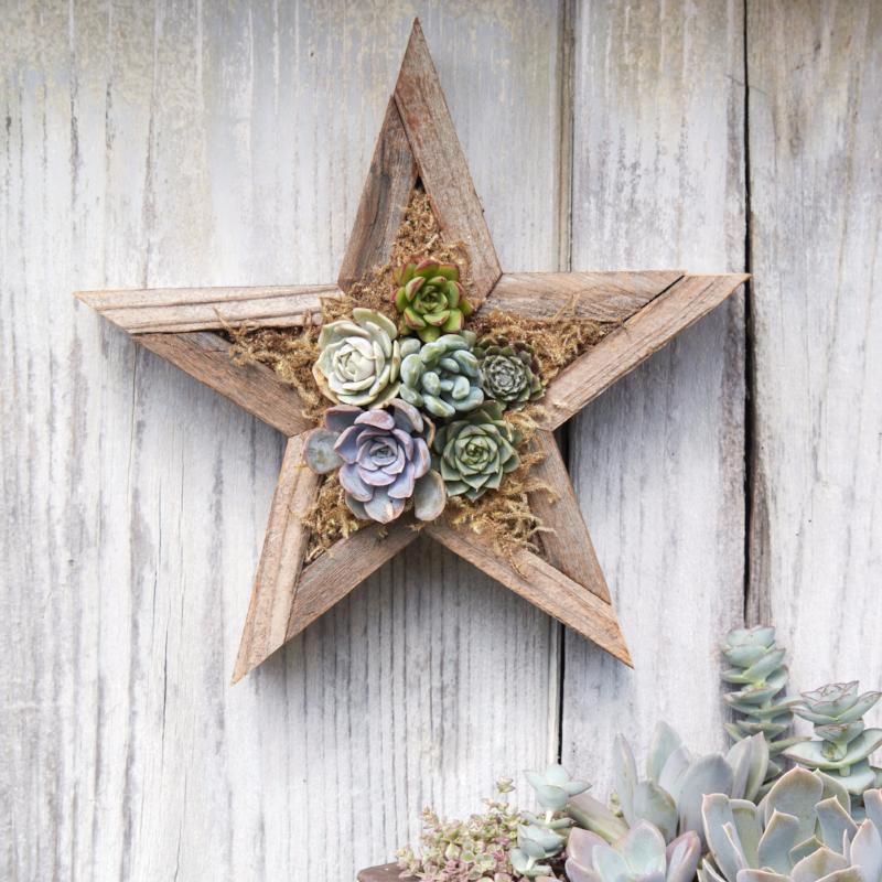 Succulent Holiday Gift | DIY Succulent Kit | Succulent Gardens