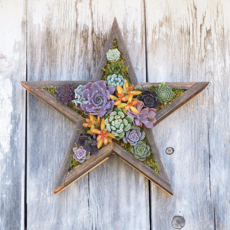 Redwood Star Planter