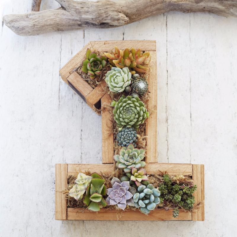 Planted Succulent Number | Succulent Wall Garden | Succulent Gardens