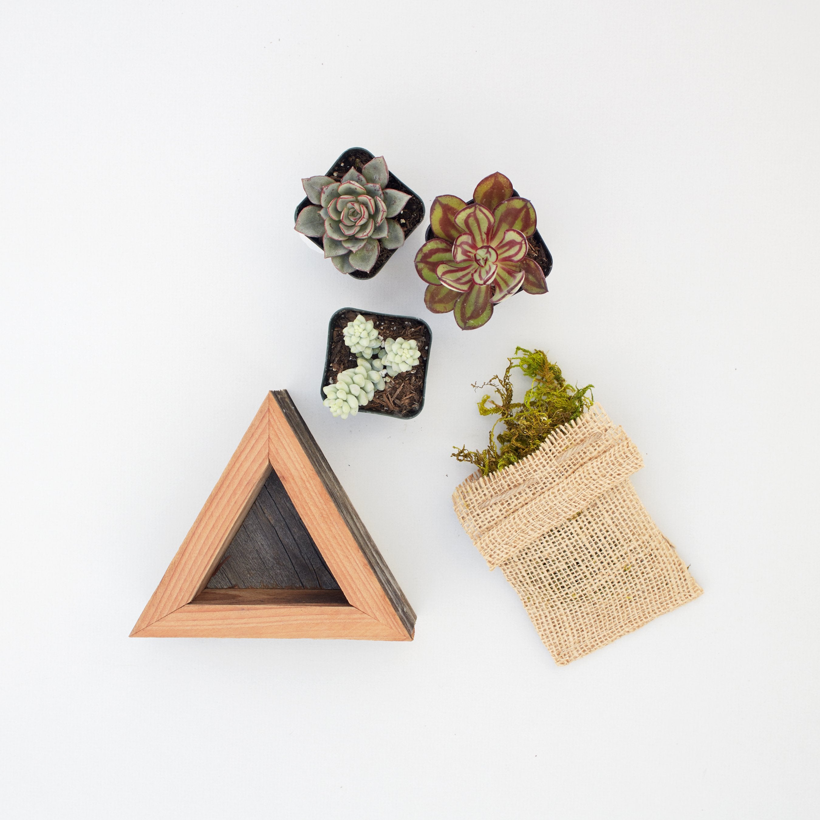 triangle succulent Triangle Succulent Planter Kit | Redwood Triangle Planter | $19.50