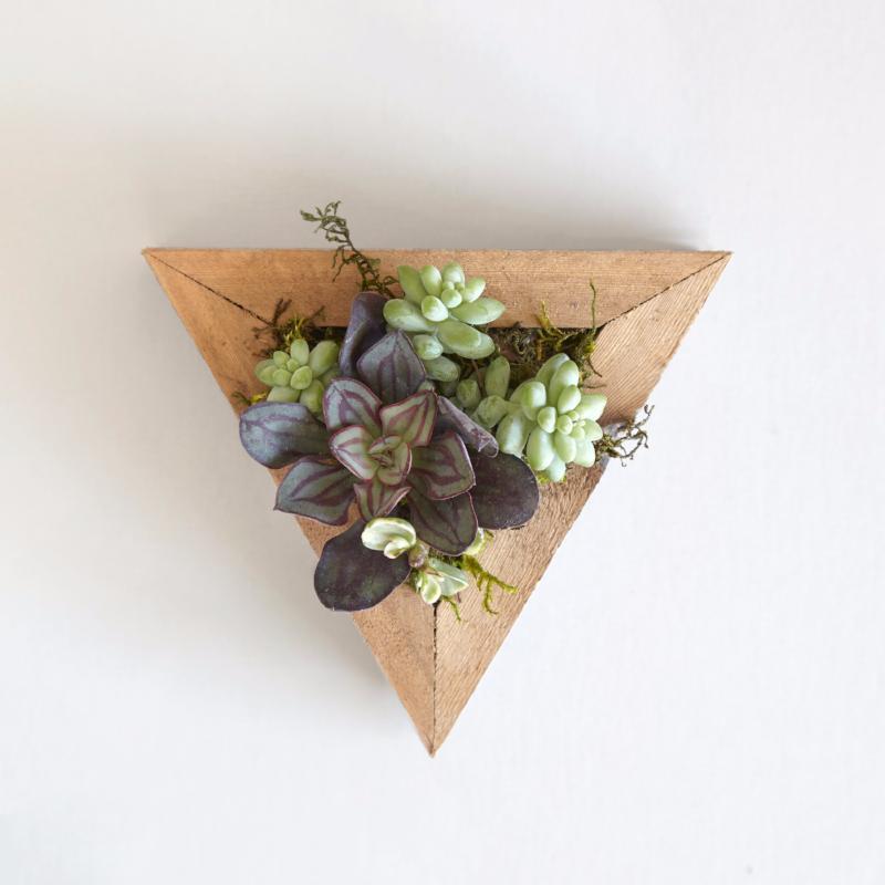 triangle succulent planter Triangle Succulent Planters | Redwood Triangle Planter | $29.50
