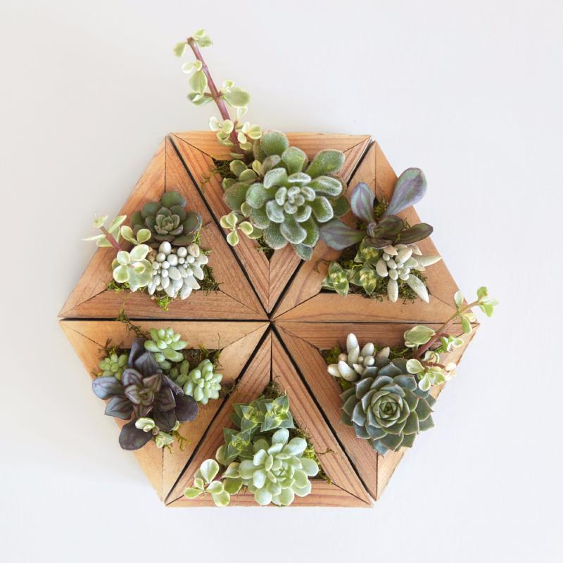 Succulent Planters | $29.00 | Succulent Gardens