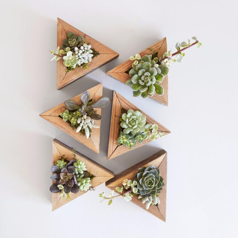 Succulent Triangle Planters | Succulent Gardens