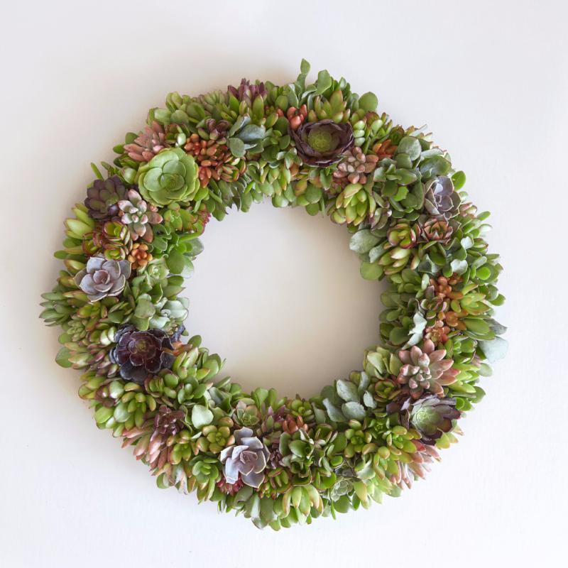 Planted Succulent Wreath | Custom Succulent Wreath | Succulent Gardens