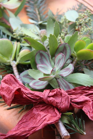 Deck the Halls with Boughs of Succulents