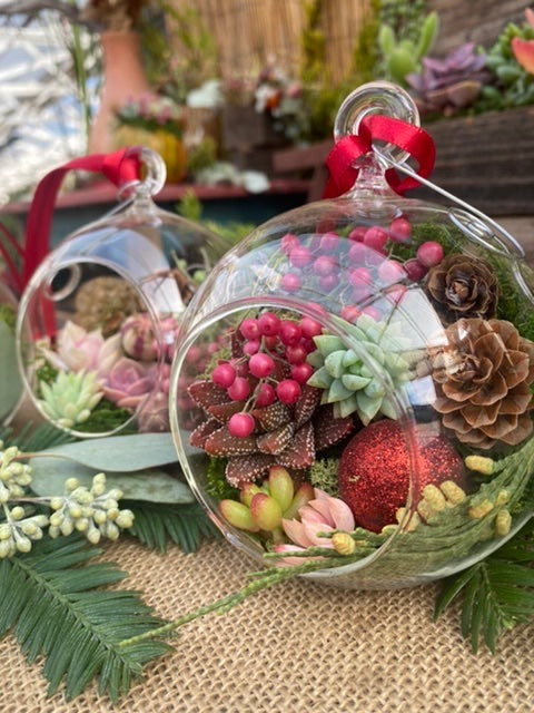 12/22 Succulent Ornament Terrarium Workshop