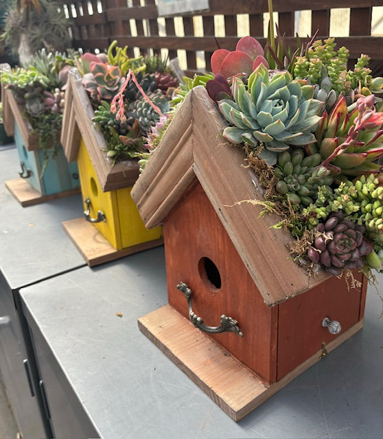 5/3 Succulent Birdhouse Workshop