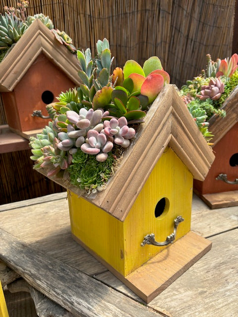 5/3 Succulent Birdhouse Workshop