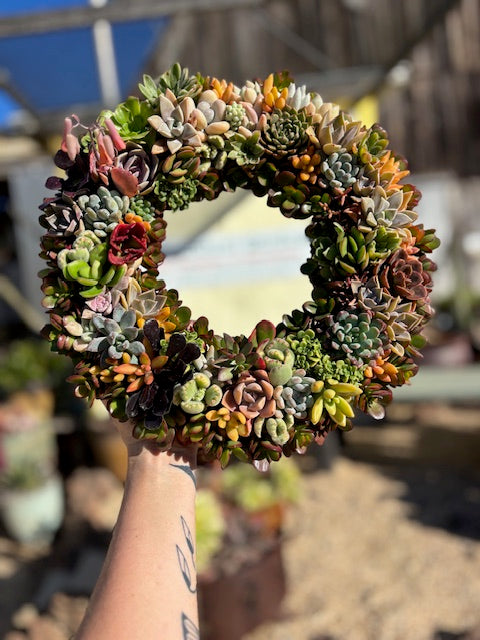 Succulent Wreath- MOTHER's DAY PREORDER**