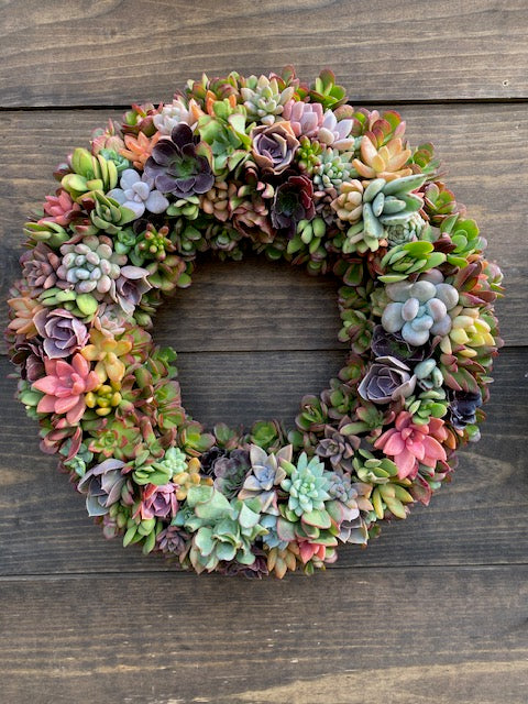 succulent wreath workshop 4/26 Succulent Wreath Workshop – Succulent Gardens