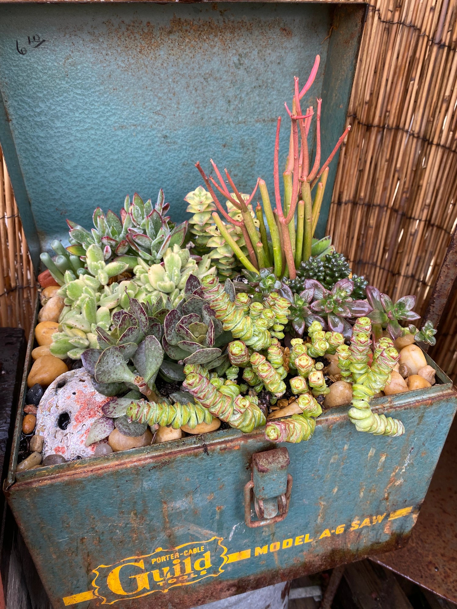 Junk Containers 6/21 Funky Junk Container Class – Succulent Gardens