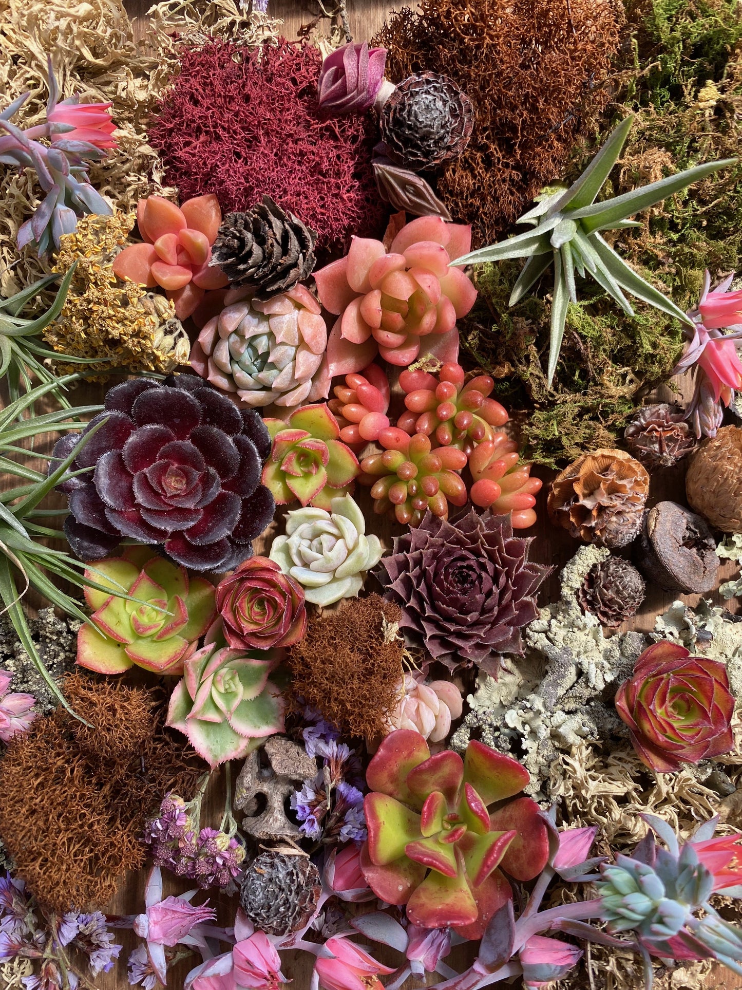 SUNDAY, 11/8 Fall Grapevine Wreath Workshop