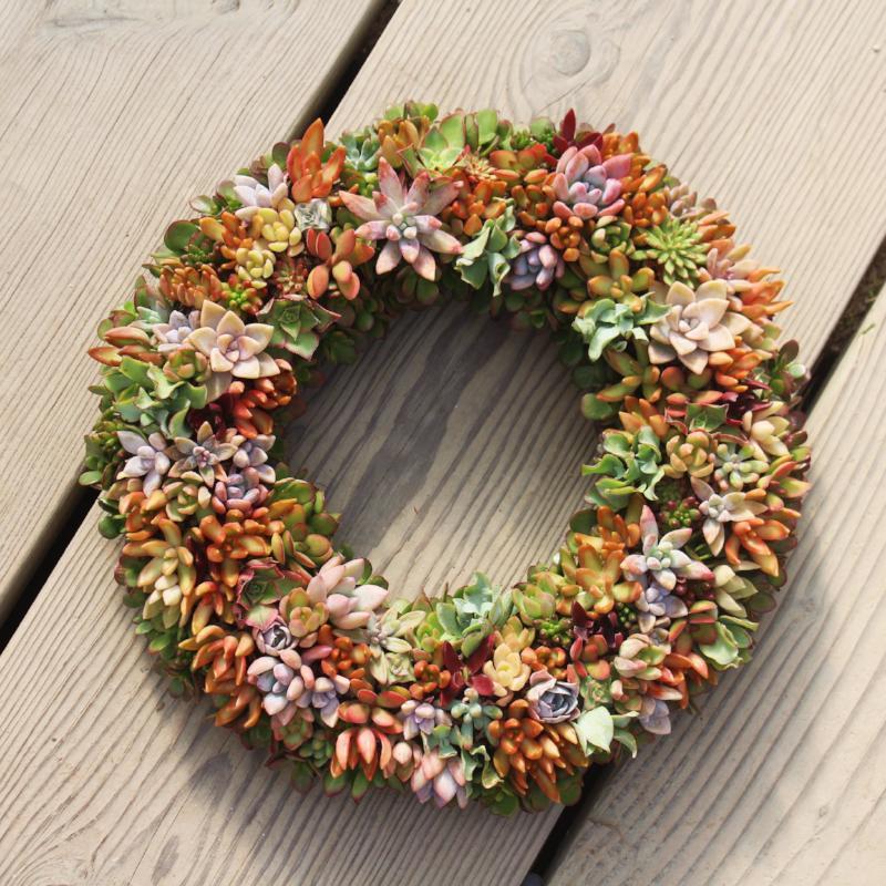 Planted Succulent Wreath | Custom Succulent Wreath | Succulent Gardens