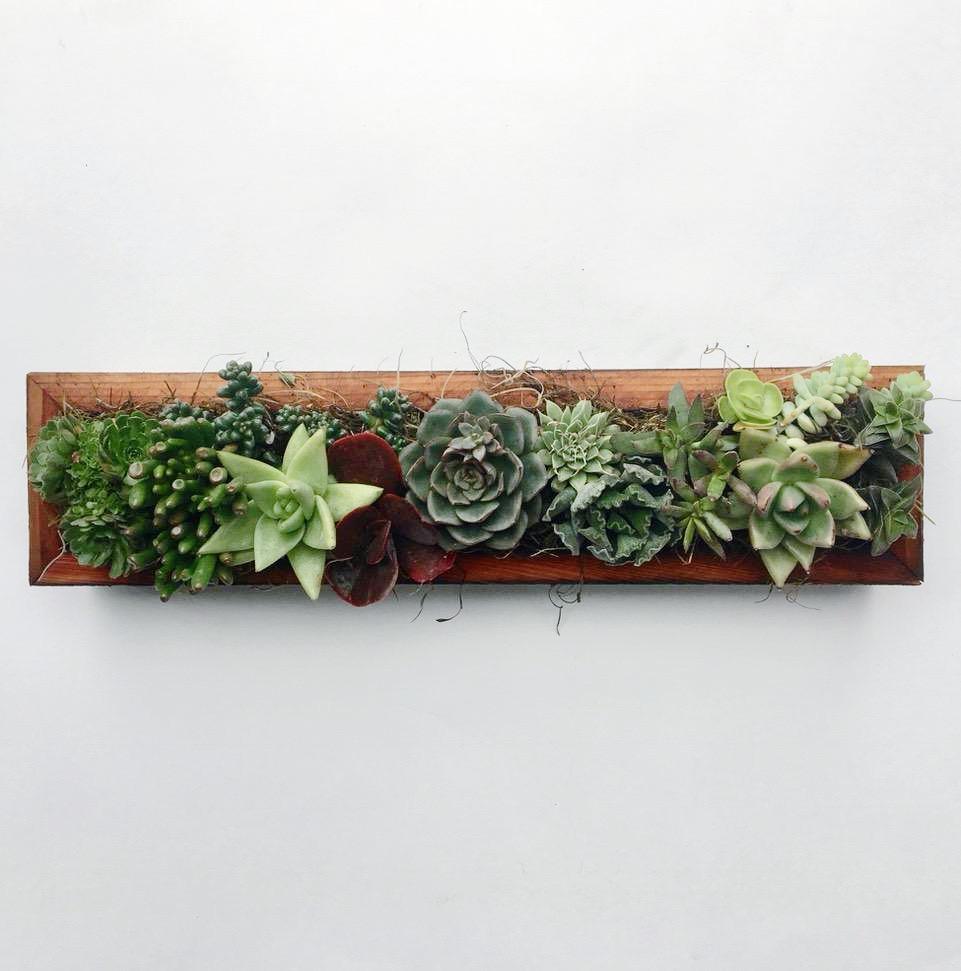 Succulent Centerpiece | Reclaimed Wood Trough