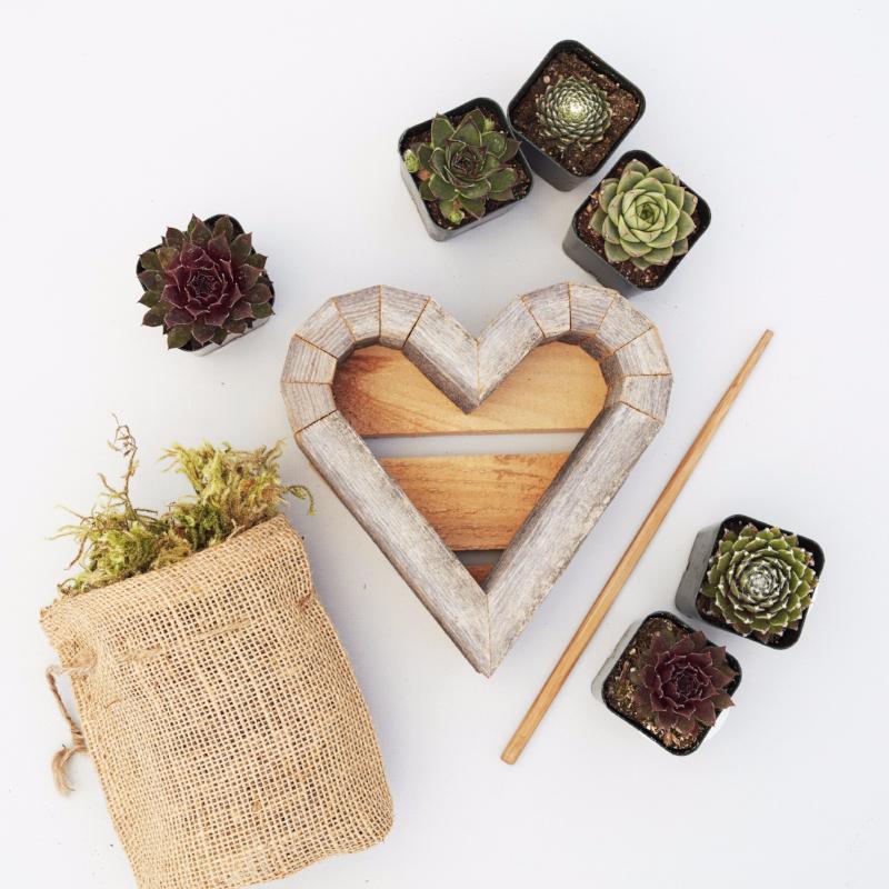 Small Succulent Heart Planter Kit | Succulent Gardens