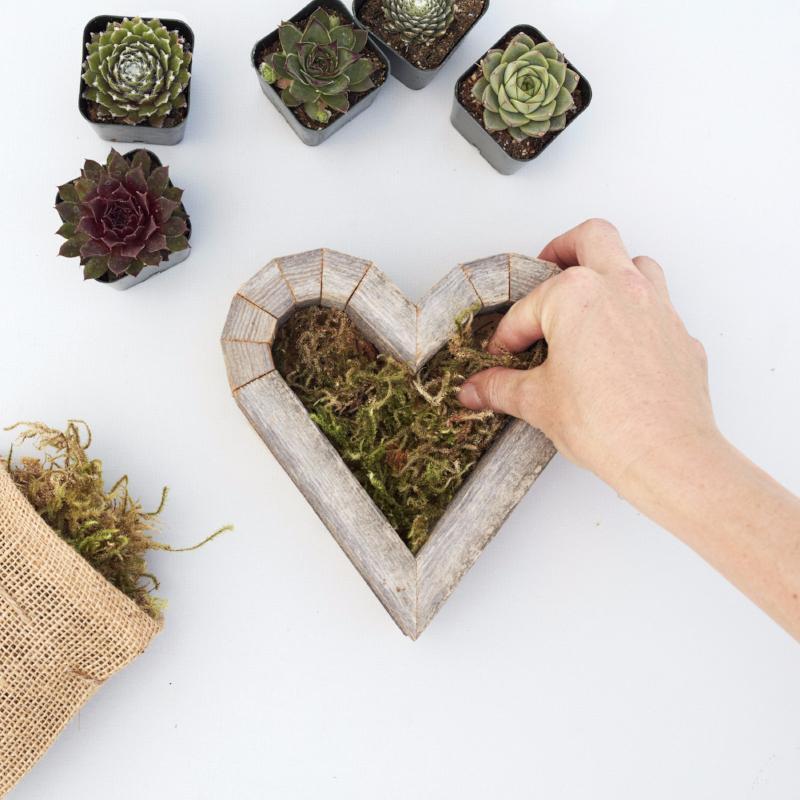 How to Plant DIY Succulent Heart Planter | Succulent Gardens