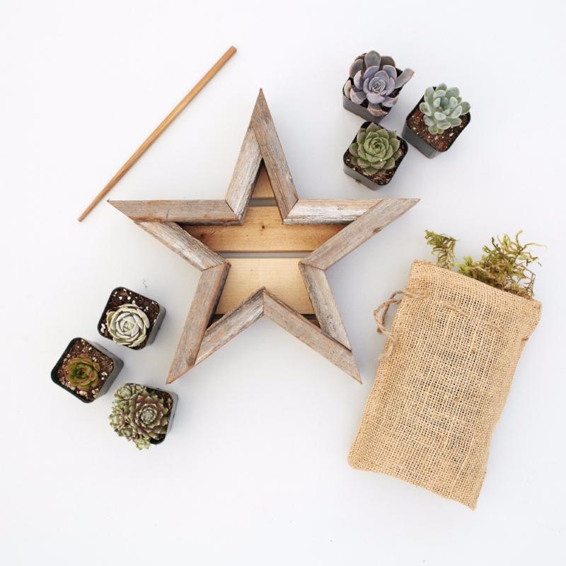 Small Succulent Star Planter Kit - DIY Succulents | $49.00 | Succulent Gardens