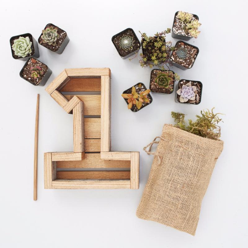 Succulent Number Kit | Vertical Succulent Garden | Succulent Gardens