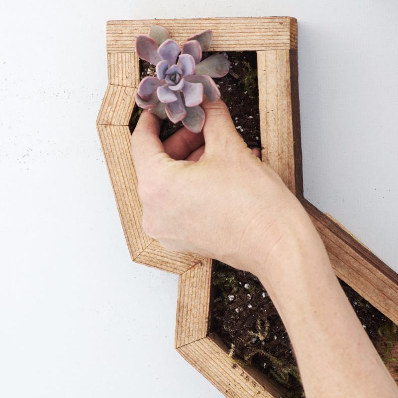How to Plant a Vertical Succulent Frame | Succulent Gardens