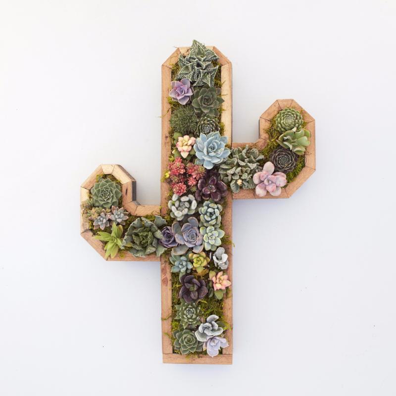 Succulent Vertical Planter - Redwood Cactus