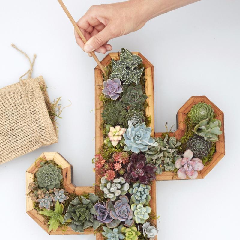 How to Plant a Succulent Wall Planter - Succulent Gardens - Cactus Planter